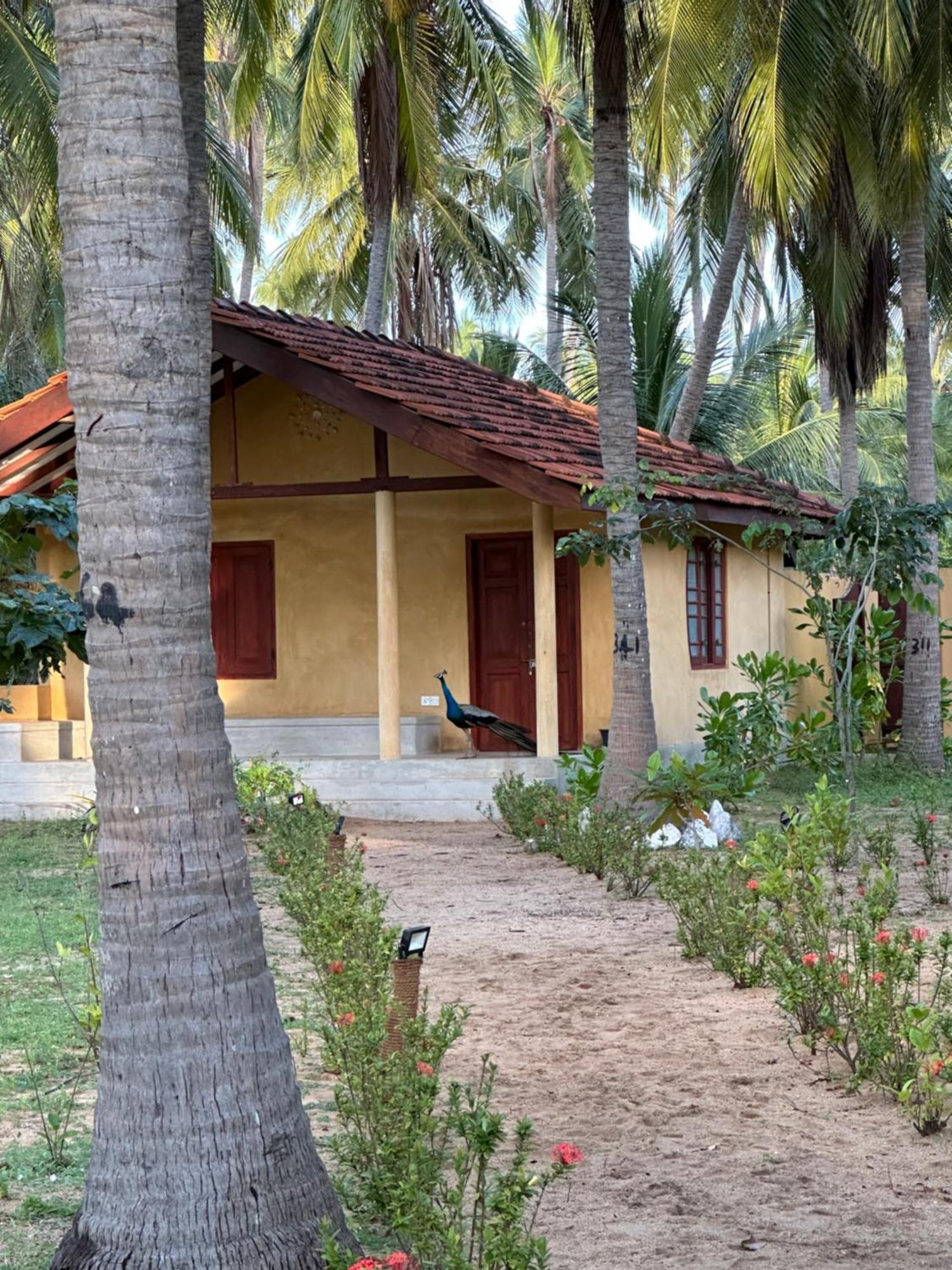 Kitelantis Hotel And Resort Калпития Екстериор снимка